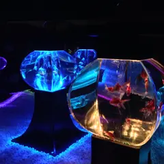 アートアクアリウム