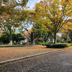 かたらいの森