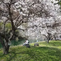 名張市長瀬観水公園