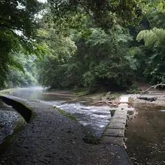 昇龍の滝
