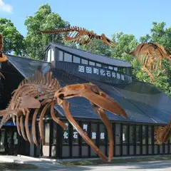 沼田町化石体験館