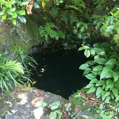 東尋坊屋敷の井戸