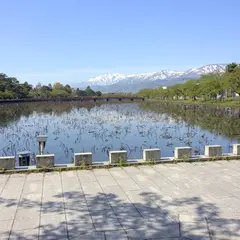 西堀のハス(高田城址公園)