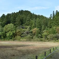 仁別国民の森