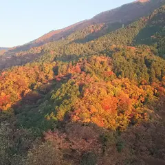 大平台温泉