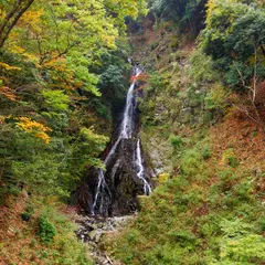 大沢の滝