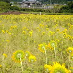 六反田ふれあいセンター