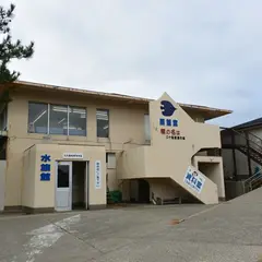 尖閣湾揚島遊園 水族館