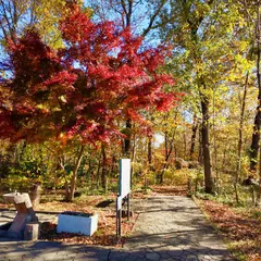 上水公園
