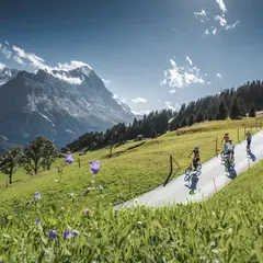 First Trottibike Scooter