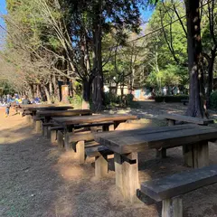 千葉県立船橋県民の森