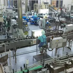 小正醸造焼酎工場見学