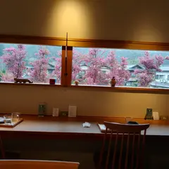 café まめの木