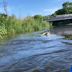 美々川タップコップ親水公園