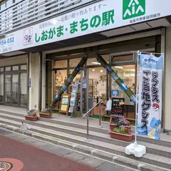 ポケふた 塩竃市 ラプラス プラスル