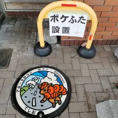 ポケふた てしお