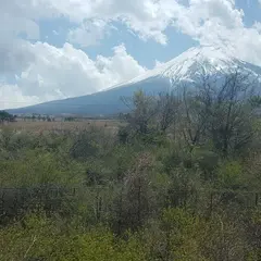 富士スバルライン一合目