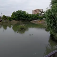 新池
