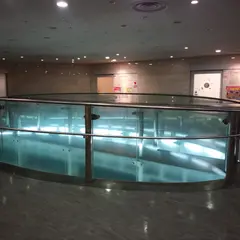 大坪矯正歯科医院