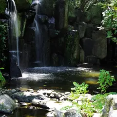真名井の滝