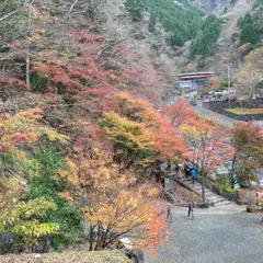 おゆのふるさと公園