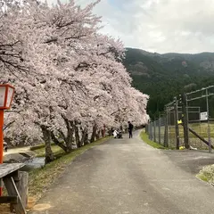 うぐい川公園