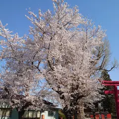 八幡神社