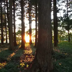 箟峯寺