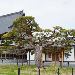 厭離山欣求院浄土寺(気仙観音霊場33番)