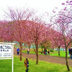 栗山公園