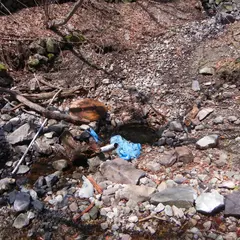 ガラメキ温泉