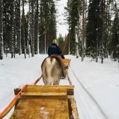 Levi Lapland Safaris Safari Club