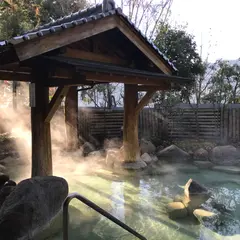 とがやま温泉天女の湯