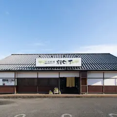 創作料理 樹の下