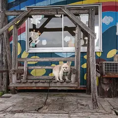 あいすむら