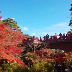 弥彦公園 観月橋
