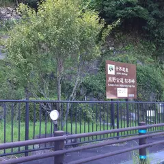 熊野古道 松本峠 登り口