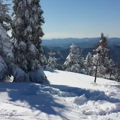 花見山スキー場