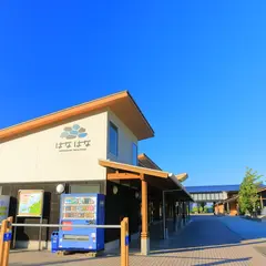 三崎港