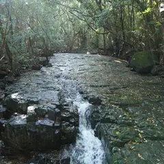 滝之川の一枚岩