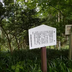 槐（サイカチ）木と馬頭観音