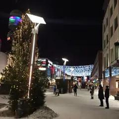 Rovaniemi