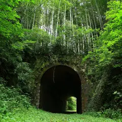 旧船木鉄道 大棚トンネル
