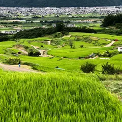 姨捨公園