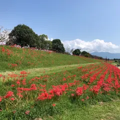 犬鳴川河川公園