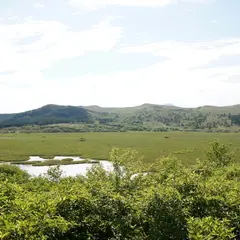 八島湿原展望台