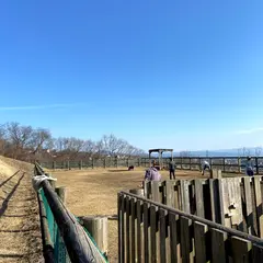 飯綱山公園 ドッグラン