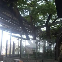 萱島神社
