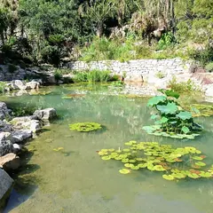 ボルディゲラの庭