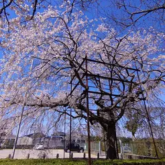 行福寺
